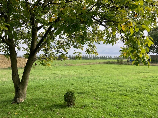 Startpunt van de tuin. Eén van de twee notenbomen is zichtbaar en verder voornamelijk grasland. Aansluitend diverse weilanden. 