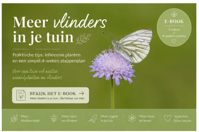 E-book meer natuur in je tuin - klein geaderd witje