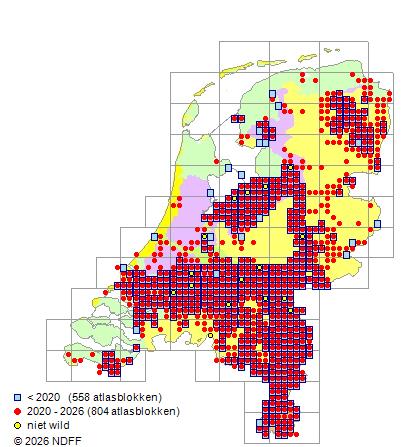 Bever verspredingskaart in Nederland (NDFF en Zoogdierenvereniging)