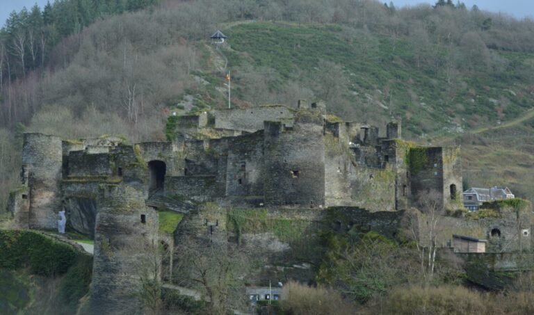 Chateau Feodal de La Roch-en-Ardenne (De natuur van hier)