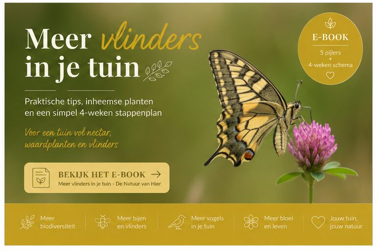 Wil je nog meer vlinders aantrekken? In het e-book leer je hoe je nectarplanten, waardplanten en andere natuurlijke elementen combineert tot een echte vlindertuin.
