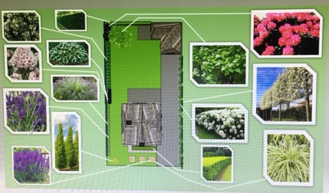 Ontwerp voor- en achtertuin (De Natuur van hier)