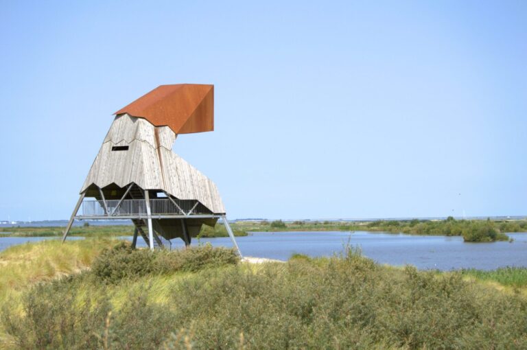 Markerwadden (De Natuur van hier)