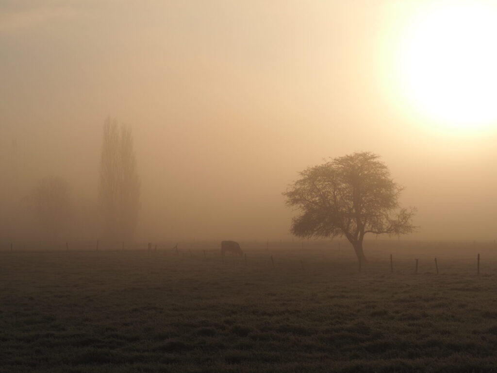 Uitzicht (De Natuur van hier)