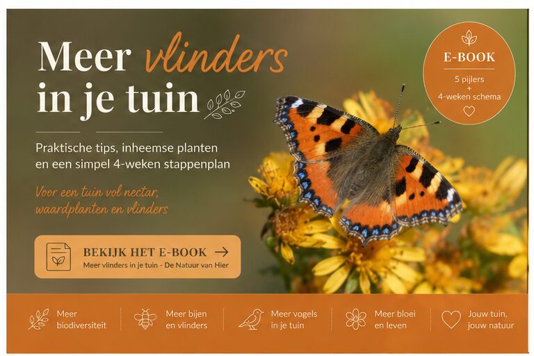 E-book meer natuur in je tuin - kleine vos
