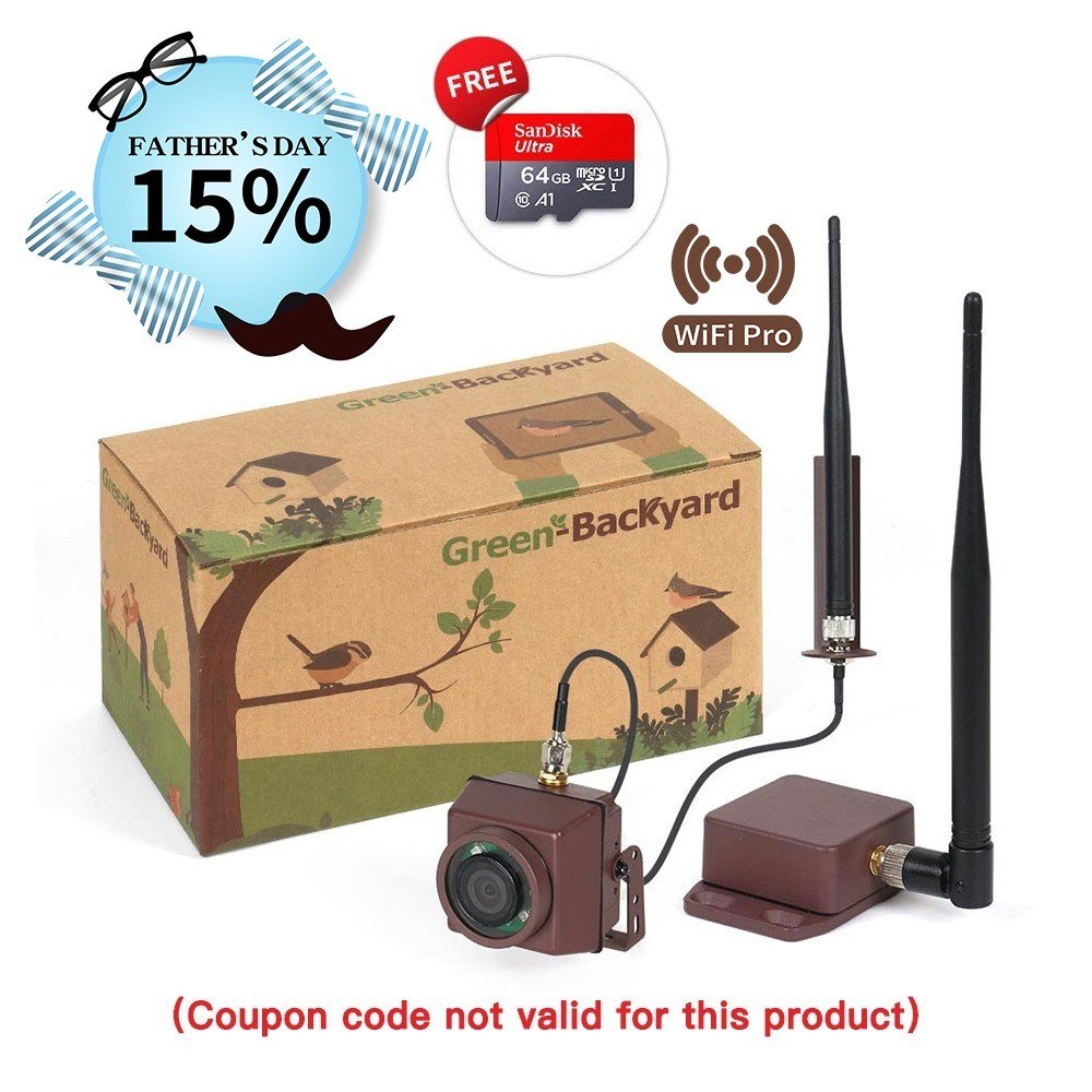 Longe Range Wireless Bird Box Camera (Green Backyard)