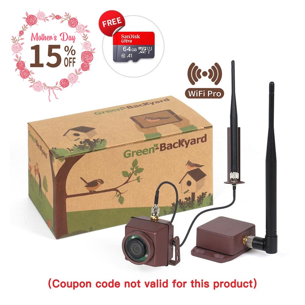 Longe Range Wireless Bird Box Camera (Green Backyard)