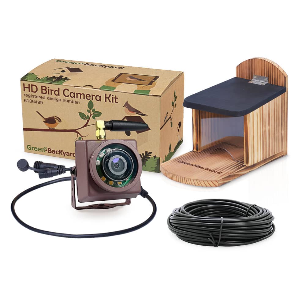 Outdoor Mini Wifi Camera with Squirrel Feeder (Green Backyard)