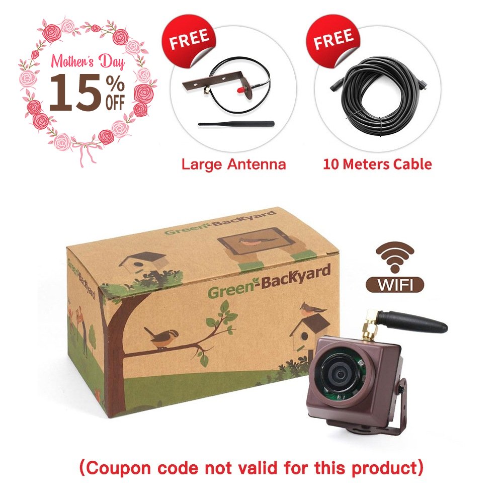 Wireless Bird Box Camera (Green Backyard)
