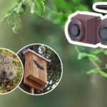 Nestcamera´s Green Backyard