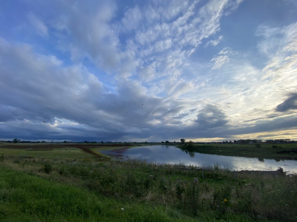 Rivierpark Maasvallei (de Natuur van hier)