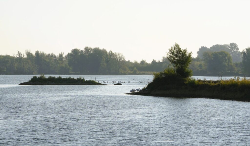 Vogeleilanden, Rotem (de Natuur van hier)