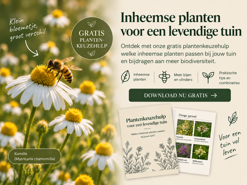 Gratis Plantenkeuzehulp voor passende inheemse planten