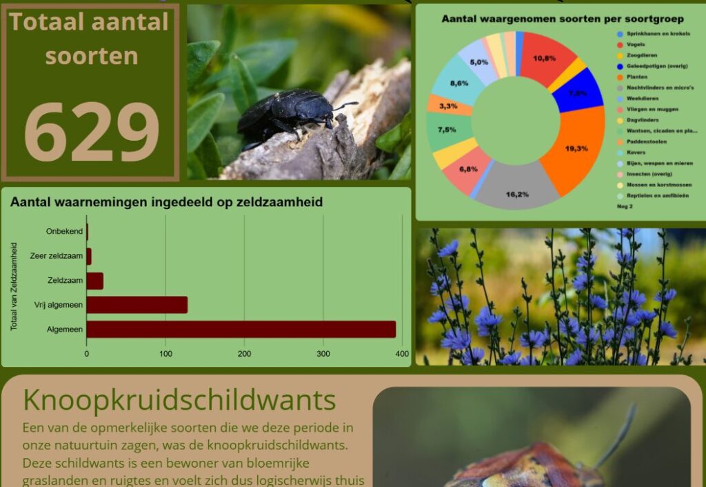 Preview infographic natuurtuin in ontwikkeling deel IV (de Natuur van hier)