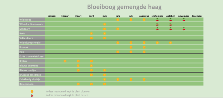 Bloeiboog met inheemse planten per seizoen