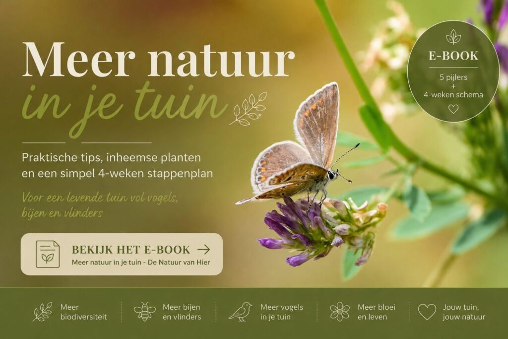 Banner e-book meer natuur in je tuin - icarusblauwtje (de Natuur van hier)