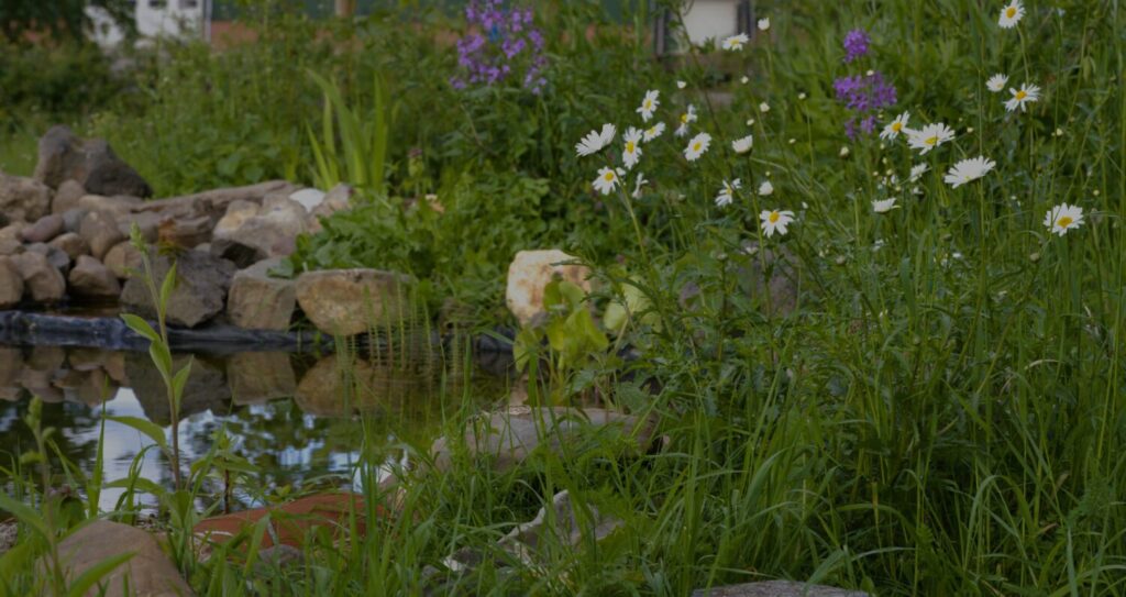 Plantencombinatie_Kleigrond_Natuurtuin