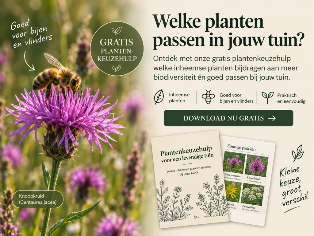 Gratis Plantenkeuzehulp voor passende inheemse planten